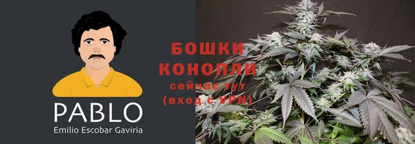MESCALINE Белокуриха