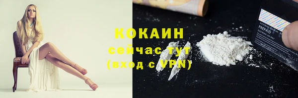 сатива Белоозёрский