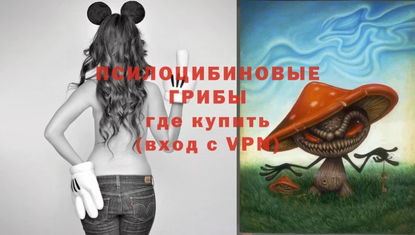 сатива Белоозёрский