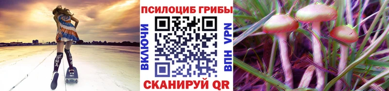 Псилоцибиновые грибы ЛСД купить наркотик Якутск